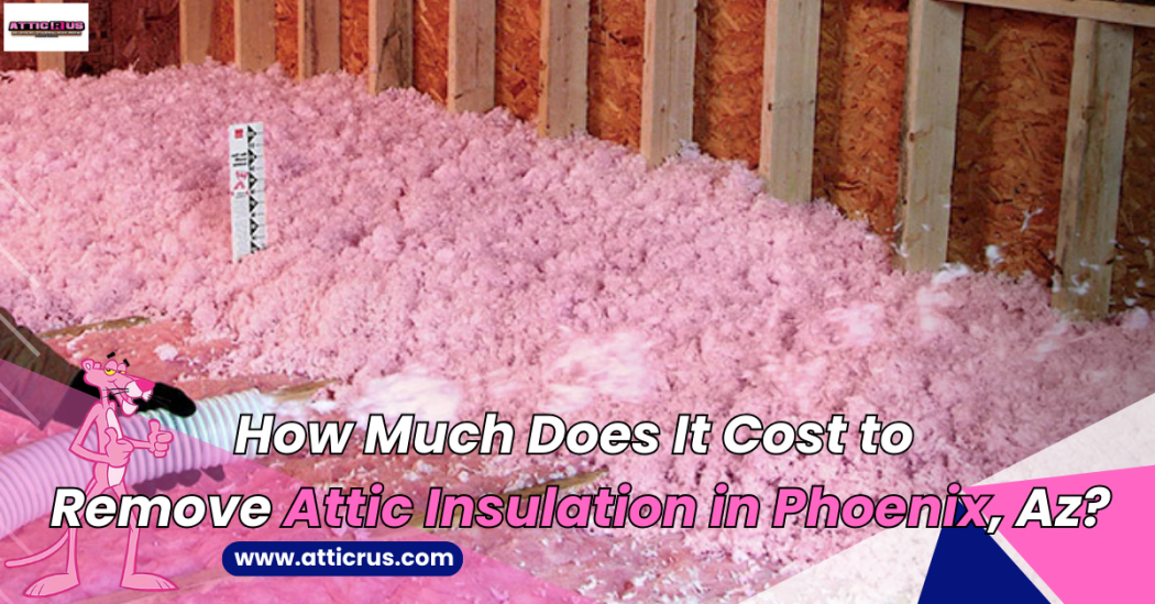How much does it cost to remove attic insulation in Phoenix, Az